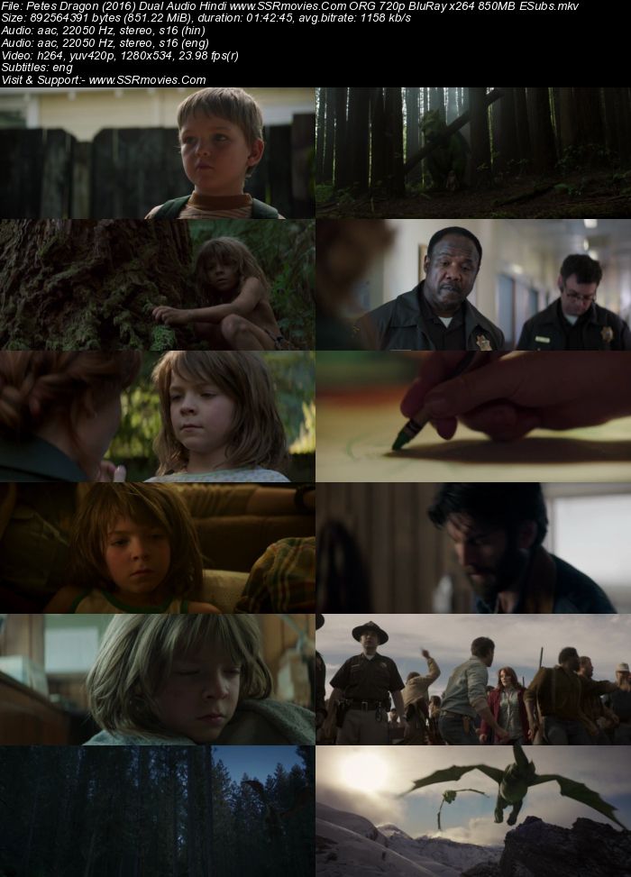 Pete's Dragon 2016 Dual Audio Hindi ORG 1080p 720p 480p BluRay x264 ESubs Full Movie Download