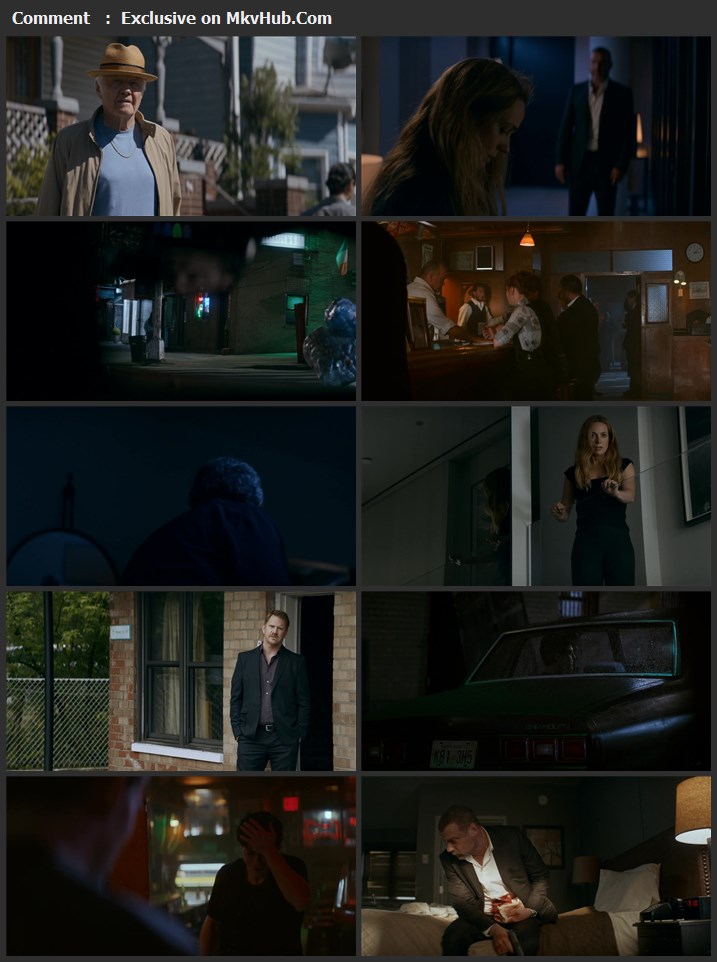 Ray Donovan 2022 English 720p WEB-DL 900MB Download