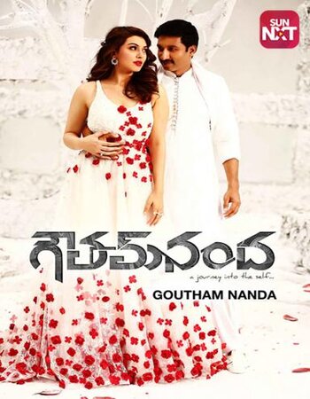 Goutham Nanda 2017 Dual Audio [Hindi-Telugu] 1080p WEB-DL 3GB ESubs