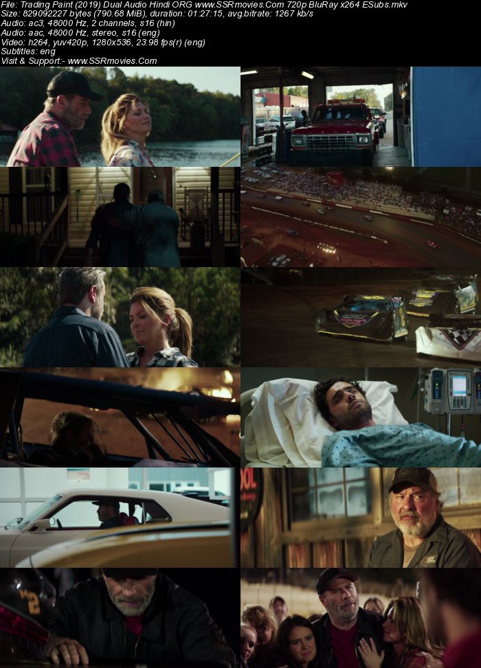 Trading Paint 2019 Dual Audio Hindi ORG 720p 480p WEB-DL x264 ESubs Full Movie Download