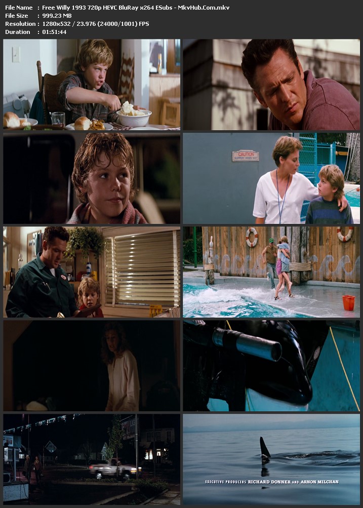 Free Willy 1993 English 720p BluRay 1GB Download