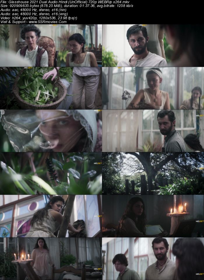 Glasshouse 2021 Dual Audio Hindi (UnOfficial) 720p 480p WEB-DL x264 ESubs Full Movie Download