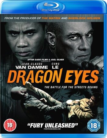 Dragon Eyes 2012 Dual Audio Hindi ORG 720p 480p BluRay x264 ESubs Full Movie Download