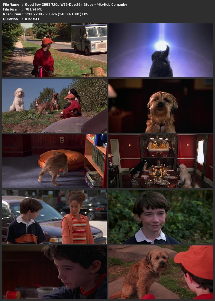 Good Boy 2003 English 720p WEB-DL 800MB Download