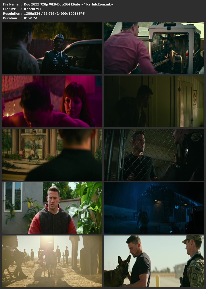 Dog 2022 English 1080p WEB-DL 1.7GB Download