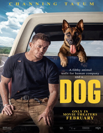 Dog 2022 Dual Audio Hindi (UnOfficial) 720p 480p WEB-DL x264 ESubs Full Movie Download