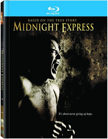 Midnight Express 1978 Dual Audio Hindi ORG 720p 480p BluRay x264 ESubs Full Movie Download