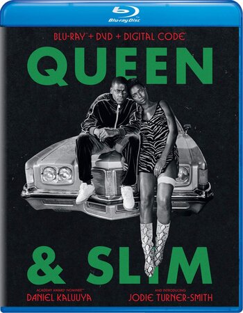 Queen & Slim 2019 Dual Audio Hindi ORG 1080p 720p 480p BluRay x264 ESubs Full Movie Download