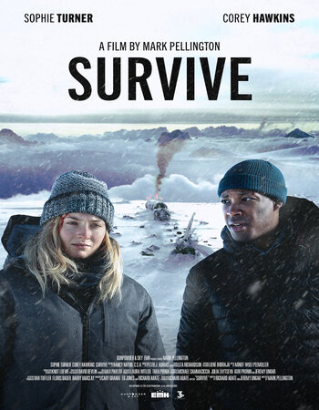 Survive 2022 English 720p WEB-DL 950MB Download