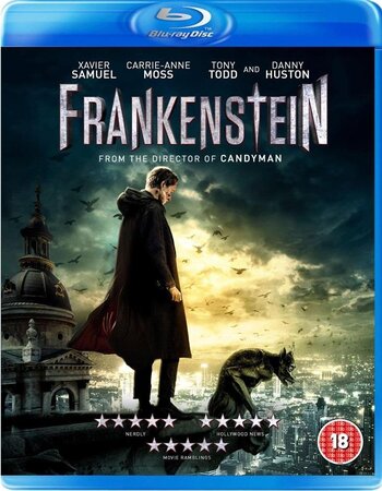 Frankenstein 2015 Dual Audio Hindi ORG 720p 480p BluRay x264 ESubs Full Movie Download