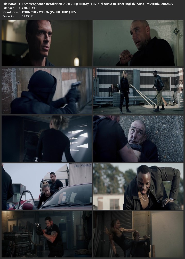 I Am Vengeance: Retaliation 2020 Dual Audio [Hindi-English] 720p BluRay 800MB Download