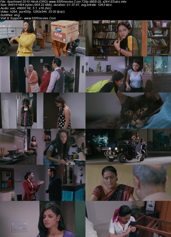 Apartment: Rent at Your Own Risk 2010 Hindi (ORG) 720p 480p WEB-DL x264 ESubs Full Movie Download