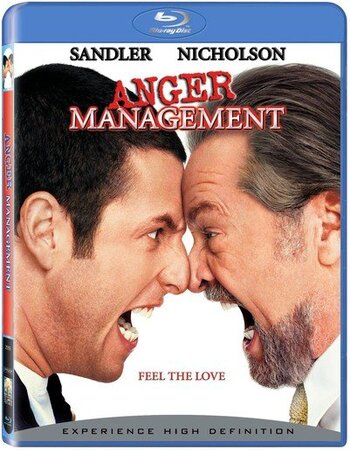 Anger Management 2003 Dual Audio Hindi ORG 1080p 720p 480p BluRay x264 ESubs Full Movie Download