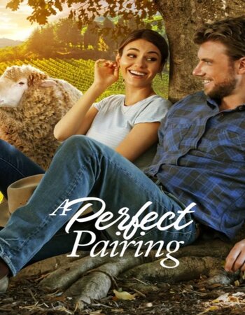 A Perfect Pairing 2022 English 720p WEB-DL 900MB Download