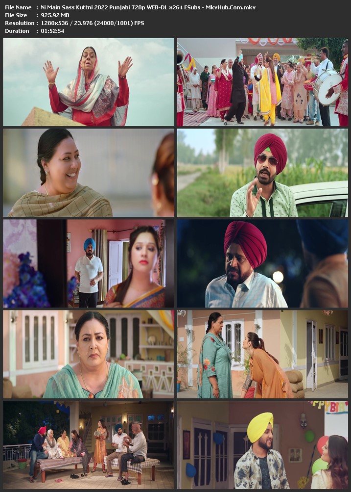 Ni Main Sass Kuttni 2022 Punjabi 1080p WEB-DL 1.9GB Download