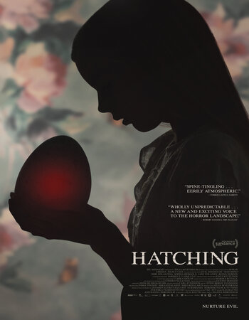 Hatching 2022 Dual Audio Hindi (UnOfficial) 720p 480p WEBRip x264 ESubs Full Movie Download