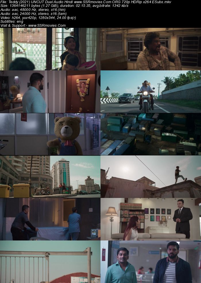 Teddy 2021 Dual Audio Hindi ORG 1080p 720p 480p HDRip x264 ESubs Full Movie Download