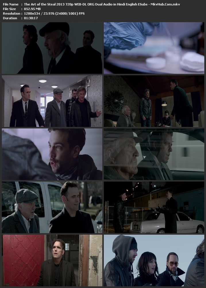 The Art of the Steal 2013 Dual Audio [Hindi-English] 1080p WEB-DL 1.6GB Download