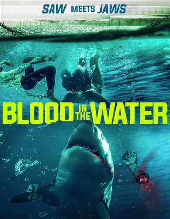 Blood in the Water (I) 2022 English 720p WEB-DL 700MB Download