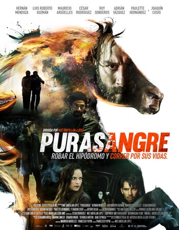Purasangre 2016 Dual Audio Hindi ORG 720p 480p BluRay x264 ESubs Full Movie Download