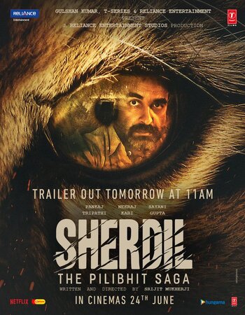 Sherdil 2022 Hindi 1080p HQ Pre-DVDRip 2.8GB Download