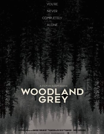 Woodland Grey 2021 English 720p WEB-DL 800MB Download