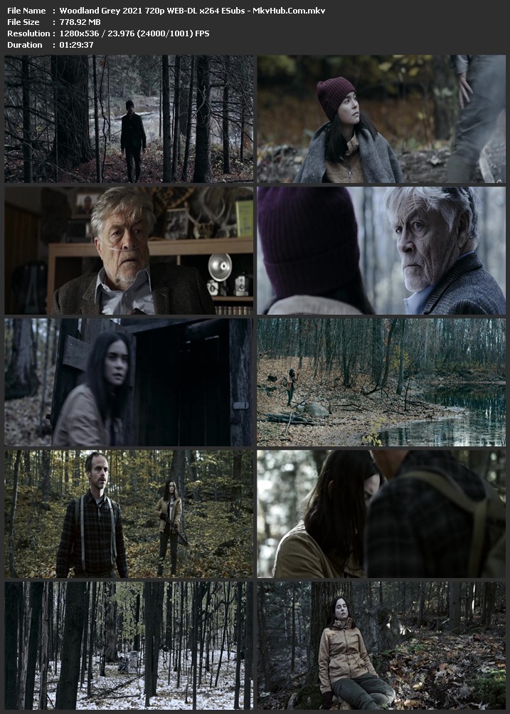 Woodland Grey 2021 English 720p WEB-DL 800MB Download