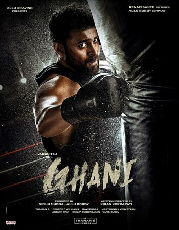 Ghani 2022 Hindi (HQ-Dub) 1080p 720p 480p WEB-DL x264 ESubs Full Movie Download