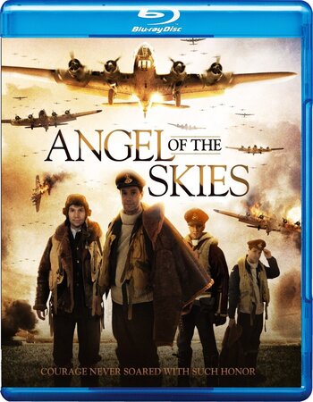 Angel of the Skies 2013 Dual Audio Hindi ORG 720p 480p BluRay x264 ESubs Full Movie Download