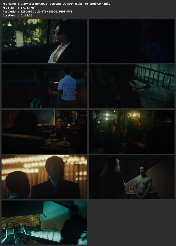 Diary of a Spy 2022 English 720p WEB-DL 900MB Download