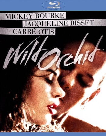 Wild Orchid 1989 Dual Audio Hindi ORG 720p 480p BluRay x264 ESubs Full Movie Download