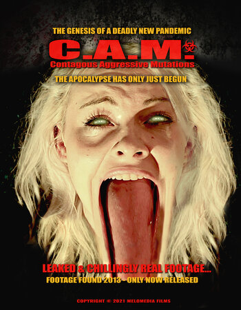 C.A.M. 2021 English 720p WEB-DL 850MB Download