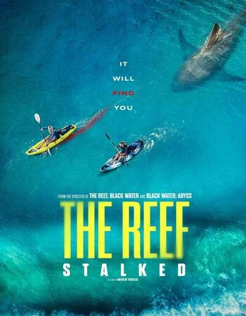 The Reef: Stalked 2022 English 720p WEB-DL 800MB Download