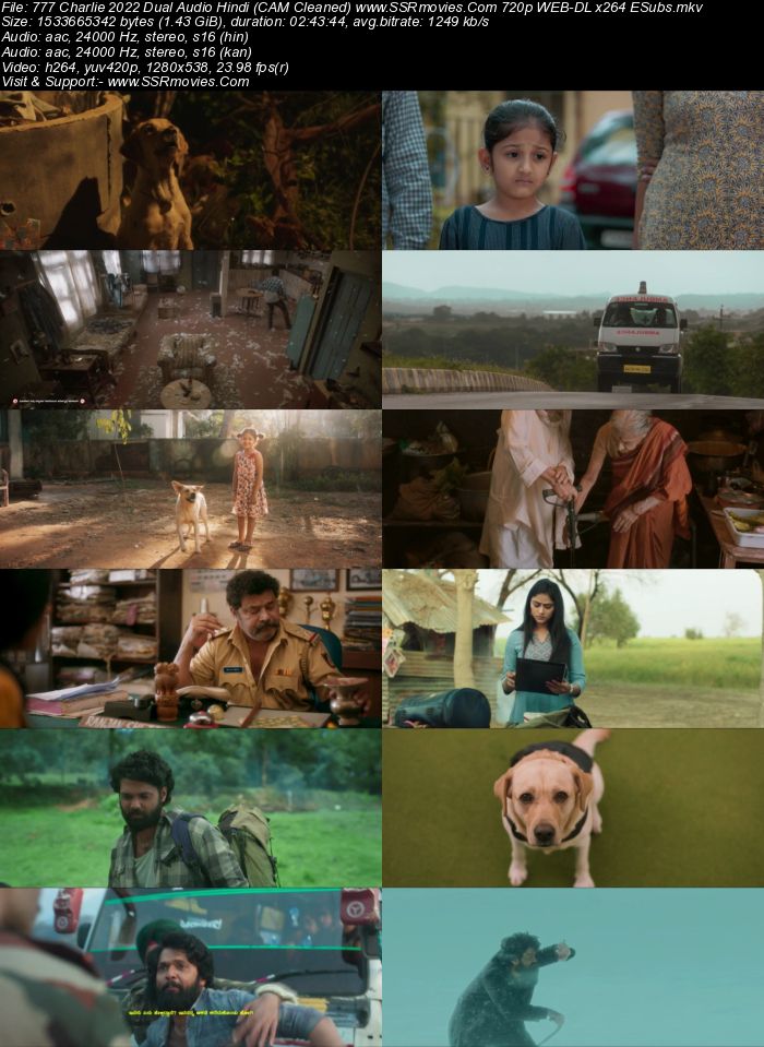 777 Charlie 2022 Dual Audio Hindi (Cleaned) 1080p 720p 480p WEB-DL 1.4GB Full Movie Download