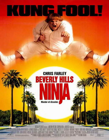 Beverly Hills Ninja 1997 Dual Audio Hindi ORG 720p 480p WEB-DL x264 ESubs Full Movie Download
