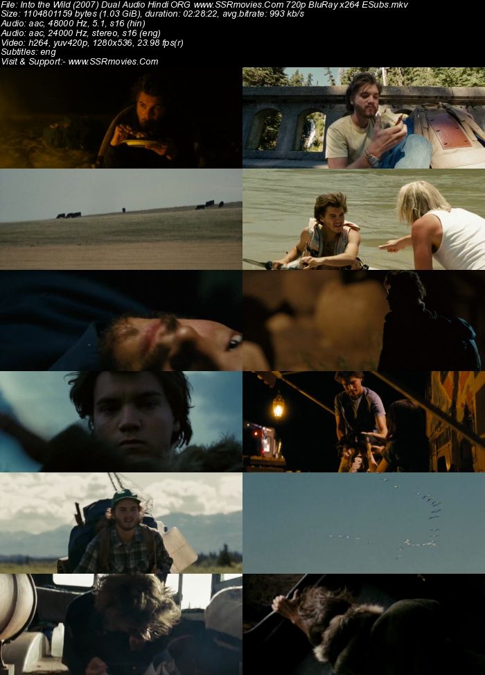 Into the Wild 2007 Dual Audio Hindi ORG 1080p 720p 480p BluRay x264 ESubs Full Movie Download
