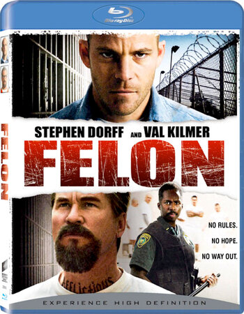 Felon 2008 Dual Audio Hindi ORG 1080p 720p 480p BluRay x264 ESubs Full Movie Download
