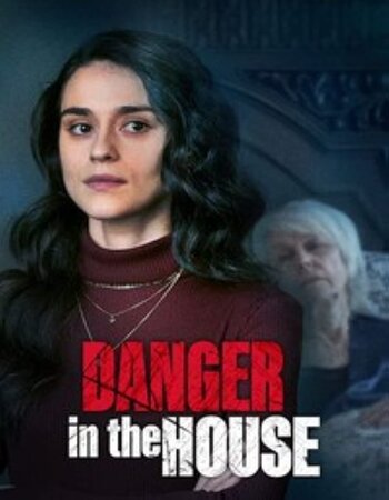 Danger in the House 2022 English 720p WEB-DL 800MB ESubs