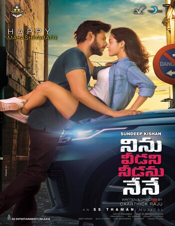 Ninnu Veedani Needanu Nene 2019 Dual Audio [Hindi-Telugu] 1080p WEB-DL 2.6GB Download