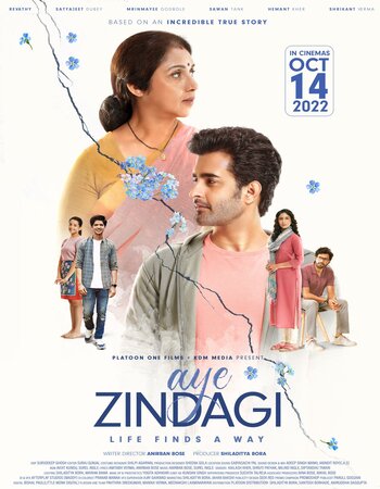 Aye Zindagi 2022 Hindi 1080p 720p 480p Pre-DVDRip x264 ESubs Full Movie Download