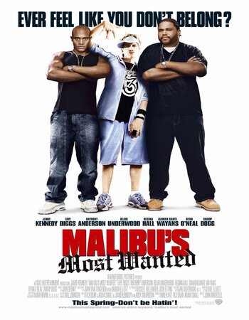 Malibu's Most Wanted 2003 Dual Audio Hindi ORG 720p 480p WEB-DL x264 ESubs Full Movie Download