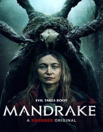 Mandrake 2022 English 720p WEB-DL 750MB Download