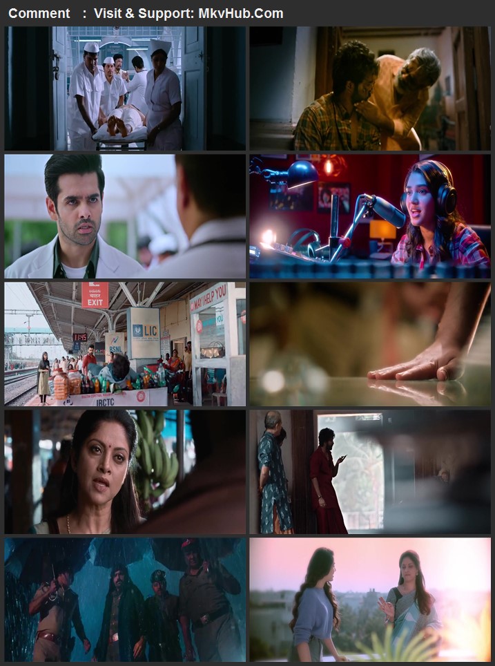 The Warriorr 2022 Dual Audio [Hindi-Telugu] 720p WEB-DL 1.4GB Download