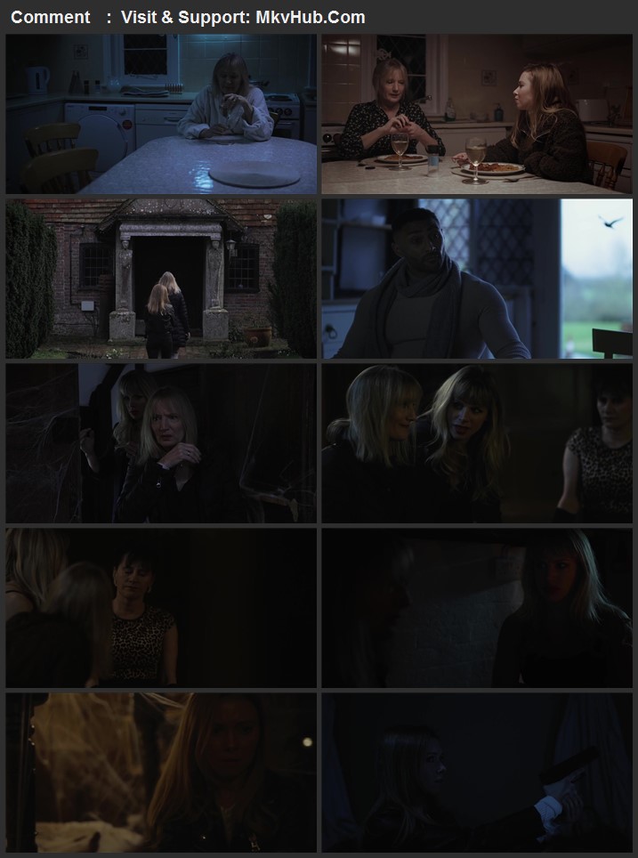 Spider in the Attic 2021 Dual Audio [Hindi-English] 720p WEB-DL 950MB Download