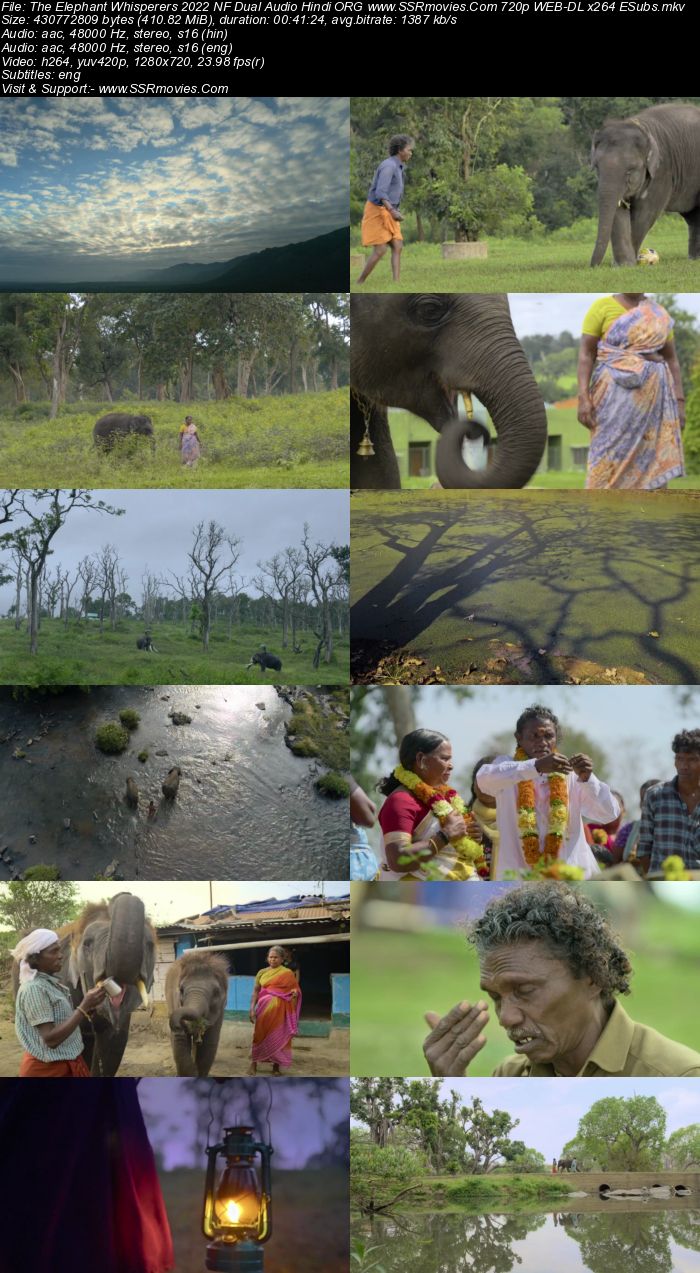 The Elephant Whisperers 2022 Dual Audio Hindi ORG 1080p 720p 480p WEB-DL x264 ESubs Full Movie Download