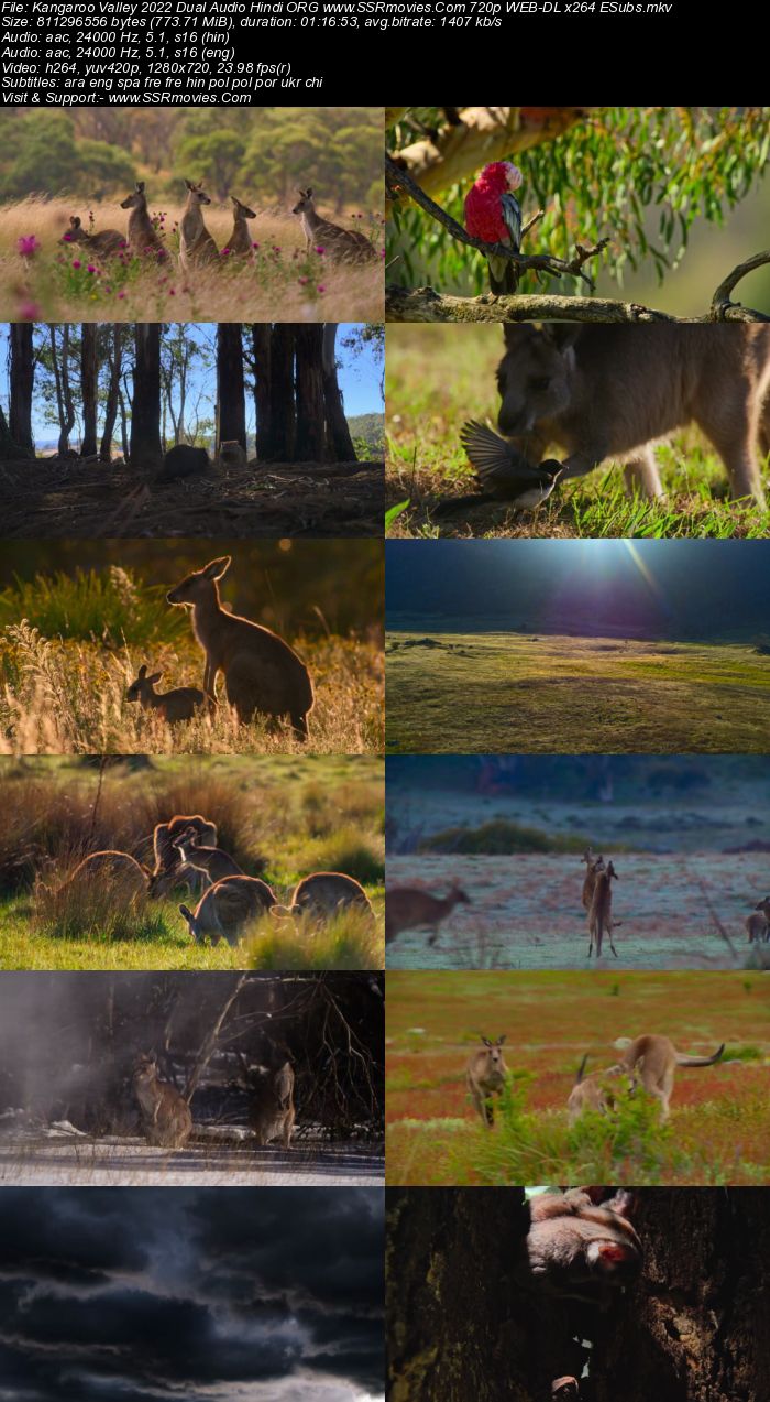 Kangaroo Valley 2022 Dual Audio Hindi ORG 1080p 720p 480p WEB-DL x264 ESubs Full Movie Download