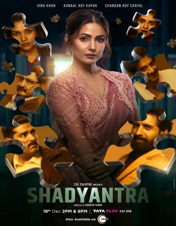 Shadyantra 2022 Hindi ORG 1080p 720p 480p WEB-DL x264 ESubs Full Movie Download