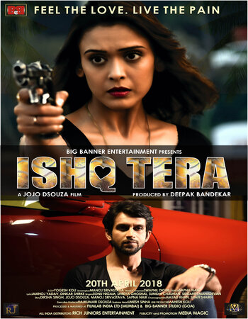 Ishq Tera 2018 Hindi ORG 1080p 720p 480p WEB-DL x264 ESubs Full Movie Download