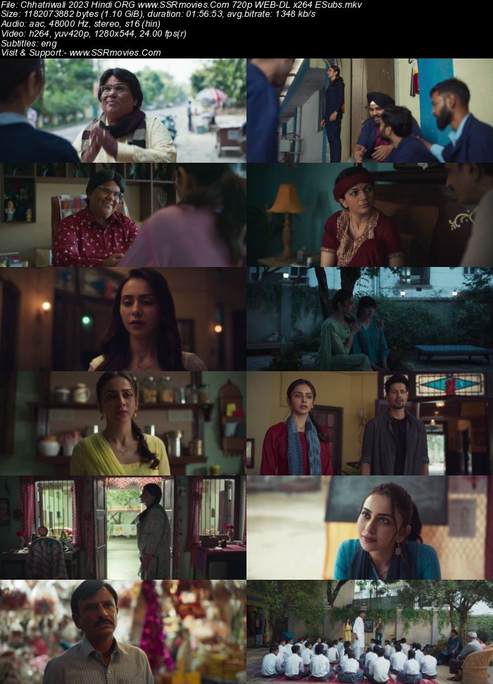 Chhatriwali 2023 Hindi ORG 1080p 720p 480p WEB-DL x264 ESubs Full Movie Download