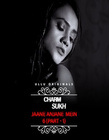 Charmsukh (Jane Anjane Mein 6) 2022 Part 1 Hindi 720p WEB-DL x264 Download